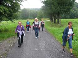 Rajd Nordic Walking Sosnowice 2018max1
